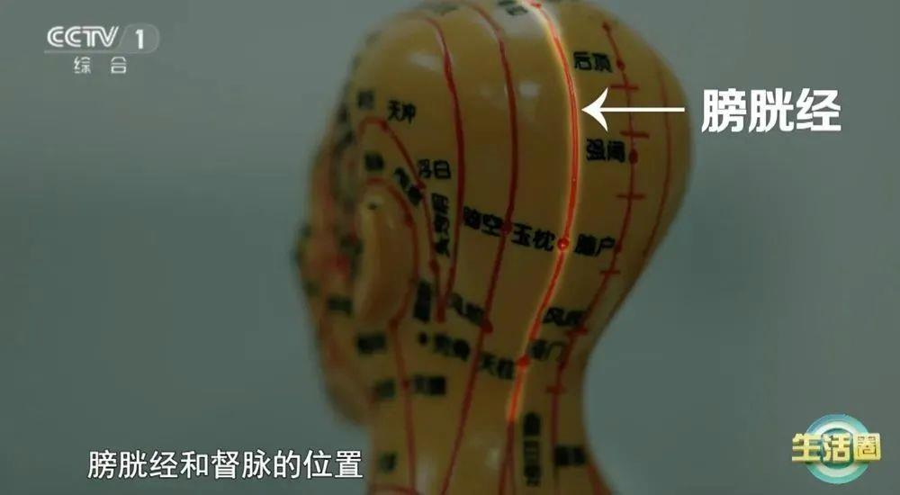 不同健康问题 护发与健康小贴士快收藏新葡京娱乐场app不同位置白发反映(图7)